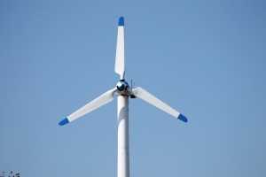 Photo by Jesse O. Walls | Editor-in-Chief