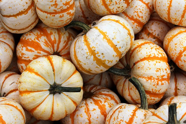 pumpkin2