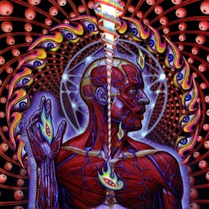tool lateralus