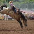 The Crowder agriculture department is planning a their 4th annual scholarship rodeo that will take place in Neosho at 8 p.m. 

