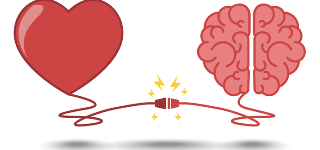 Fun facts about what happens to your brain when you fall in love