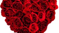 This Valentines if you need some ideas visit this article about different types of date and gift ideas. 