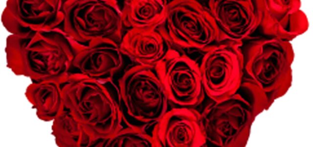 This Valentines if you need some ideas visit this article about different types of date and gift ideas. 