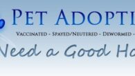 Crowder Vet Tech offers pet adoption each Spring. 