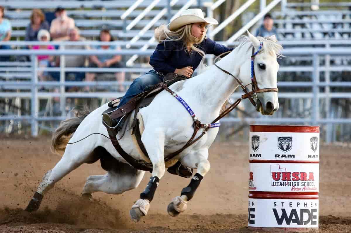 10th Annual Rodeo Celebrated